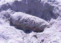 Авиационная бомба на пляже в г. Балтийске